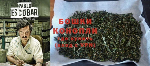 ешки Корсаков