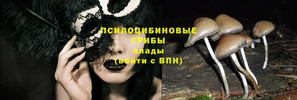 ешки Корсаков