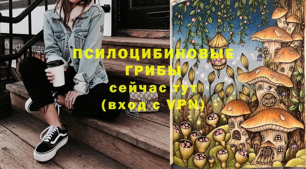 тгк Краснотурьинск