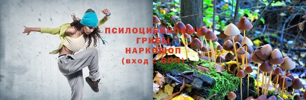 ешки Корсаков
