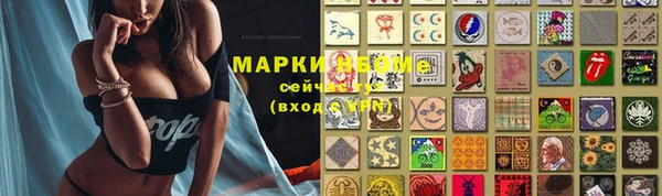 ешки Корсаков