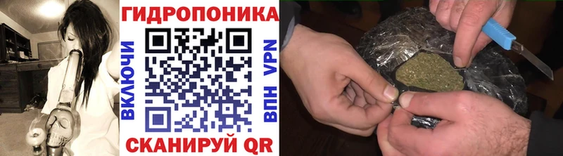 Конопля тримм  Купить закладки  Данилов 